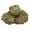 Starburst Strain