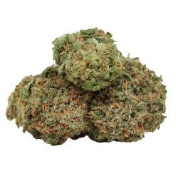 Starburst Strain