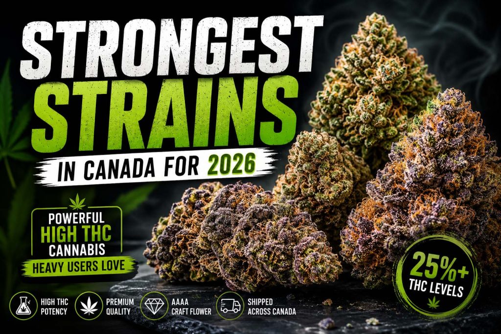 Strongest Strains in Canada for 2026