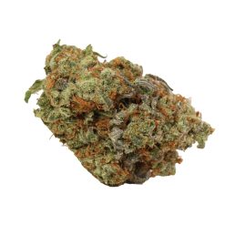 Alternative view of Tropicanna Banana Strain