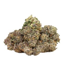 Tropicana Jet Fuel Strain