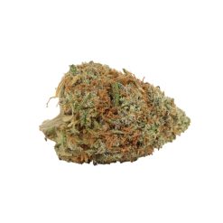 Violator Kush Strain