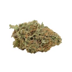 White Wedding Strain