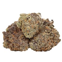 Alternative view of Yikes Strain