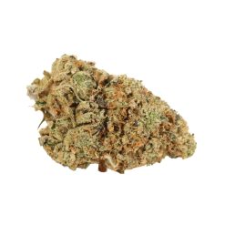 Alternative view of Black Tuna Weed