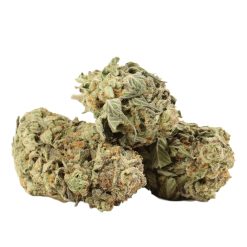 Alternative view of Blue King Strain