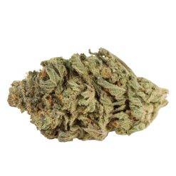 Blue King Strain Canada