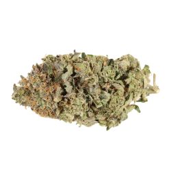 Comatose OG Kush Canada