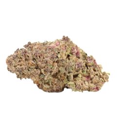 Alternative view of Grape Gasoline Strain