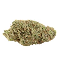 Alternative view of Lemon Kush Strain