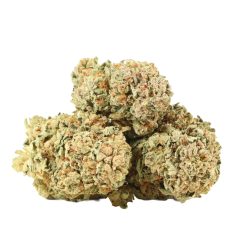 Maui Berry Strain