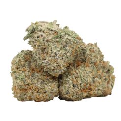 Purple Trainwreck Strain