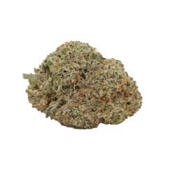 Alternative view of Purple Trainwreck Strain