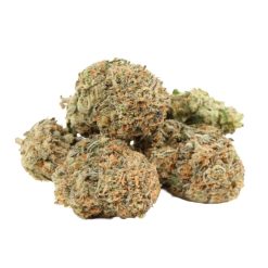 Silver Surfer Strain