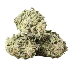 Alternative view of Tuna God Strain
