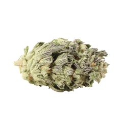 Tuna God Strain